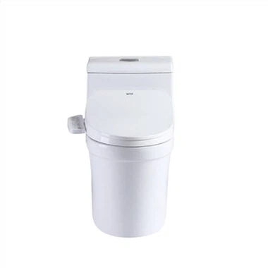 Älykäs bidee -wc -istuin